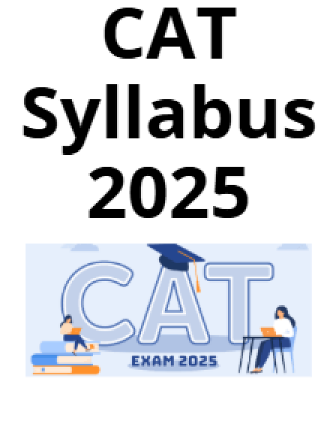 CAT 2025 SYLLABUS PDF visual data 4